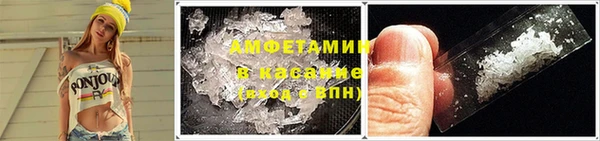 мдпв Бородино