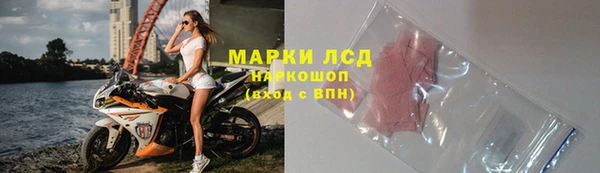 мдпв Бородино