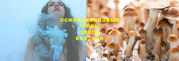 мдпв Бородино