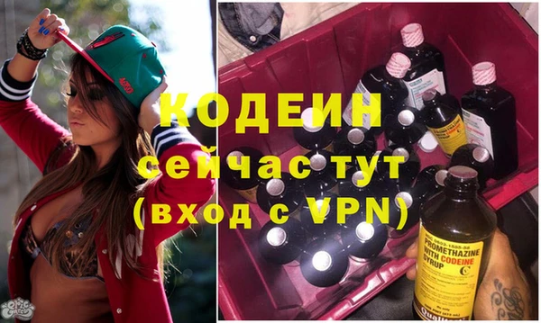 мдпв Бородино