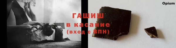 мдпв Бородино