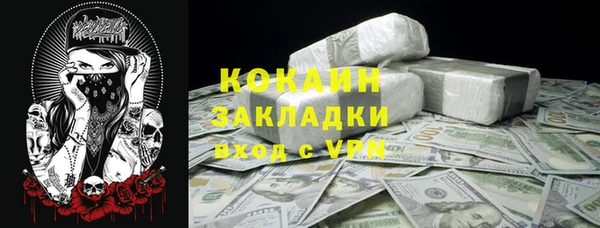 мдпв Бородино