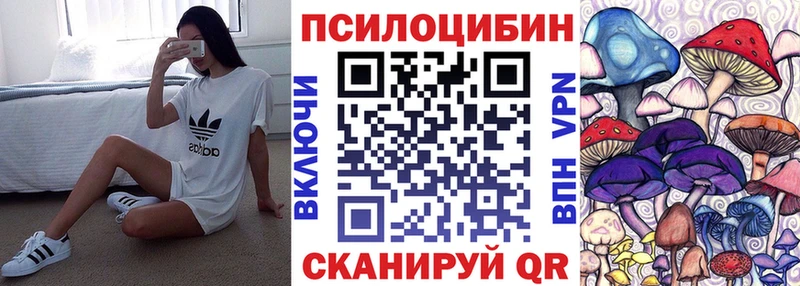 Купить где  Семёнов  Галлюциногенные грибы Magic Shrooms 